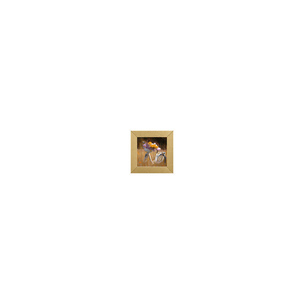FL-230 in Metallic Gold Gallery Frame, M