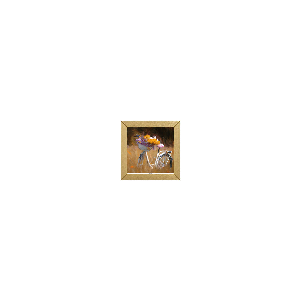 FL-230 in Metallic Gold Gallery Frame, S