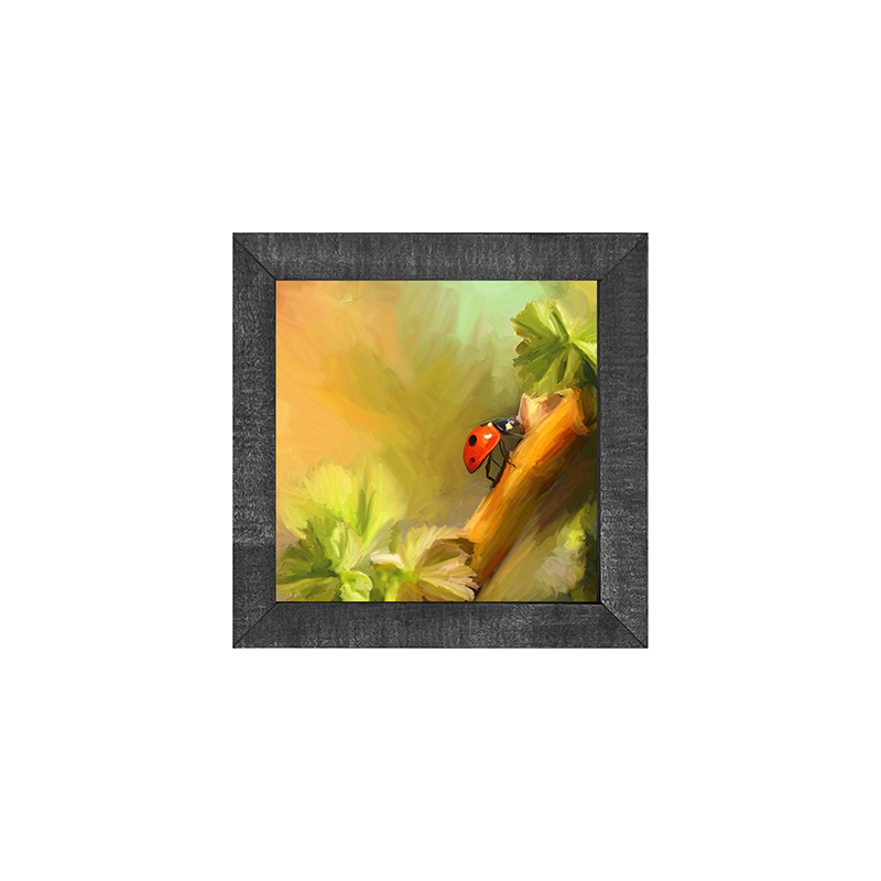 ladybug