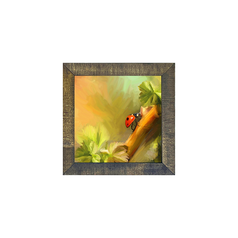 ladybug