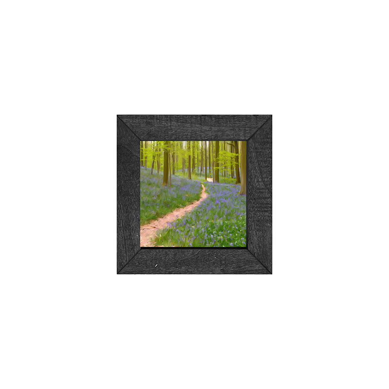 Lavender path