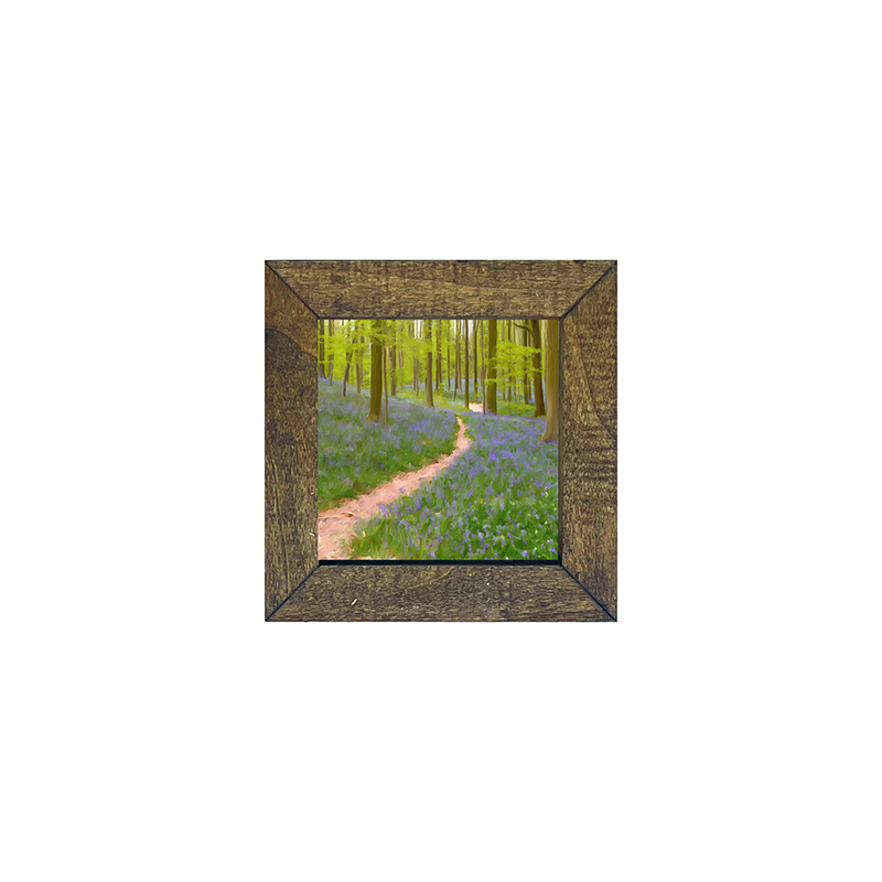 Lavender path