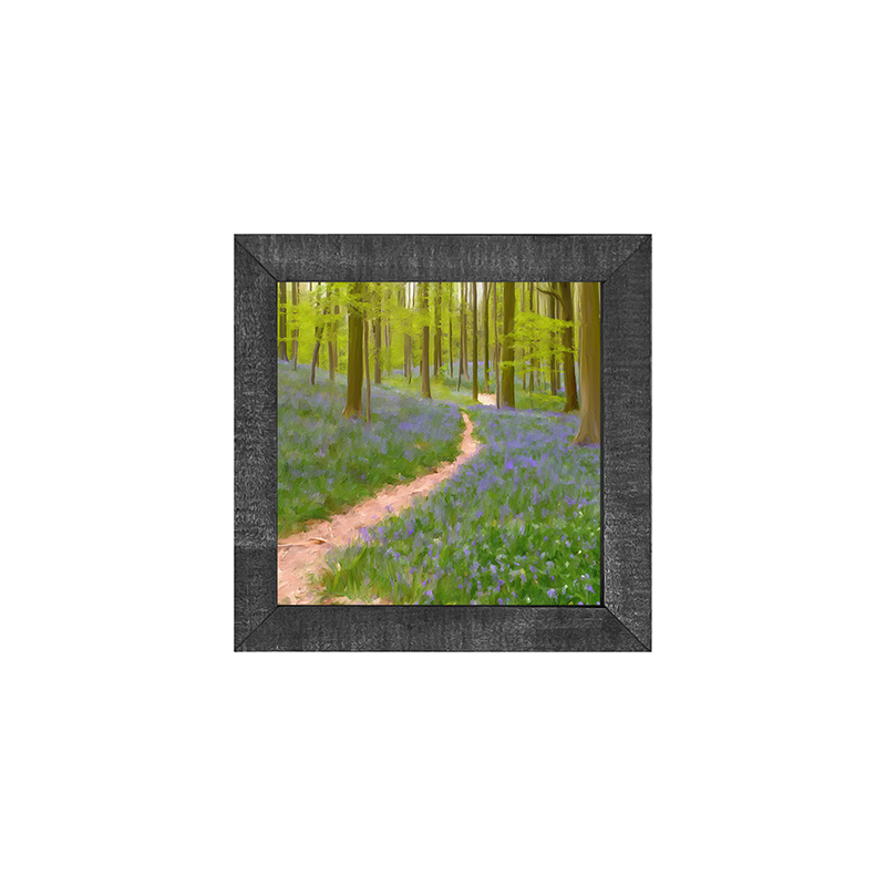 Lavender path