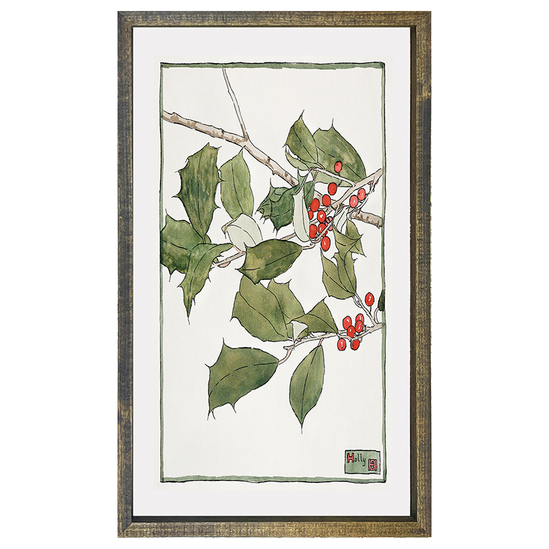watercolor holly