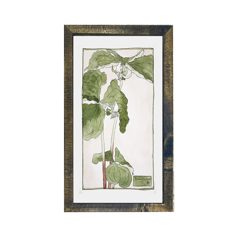 Watercolor greens