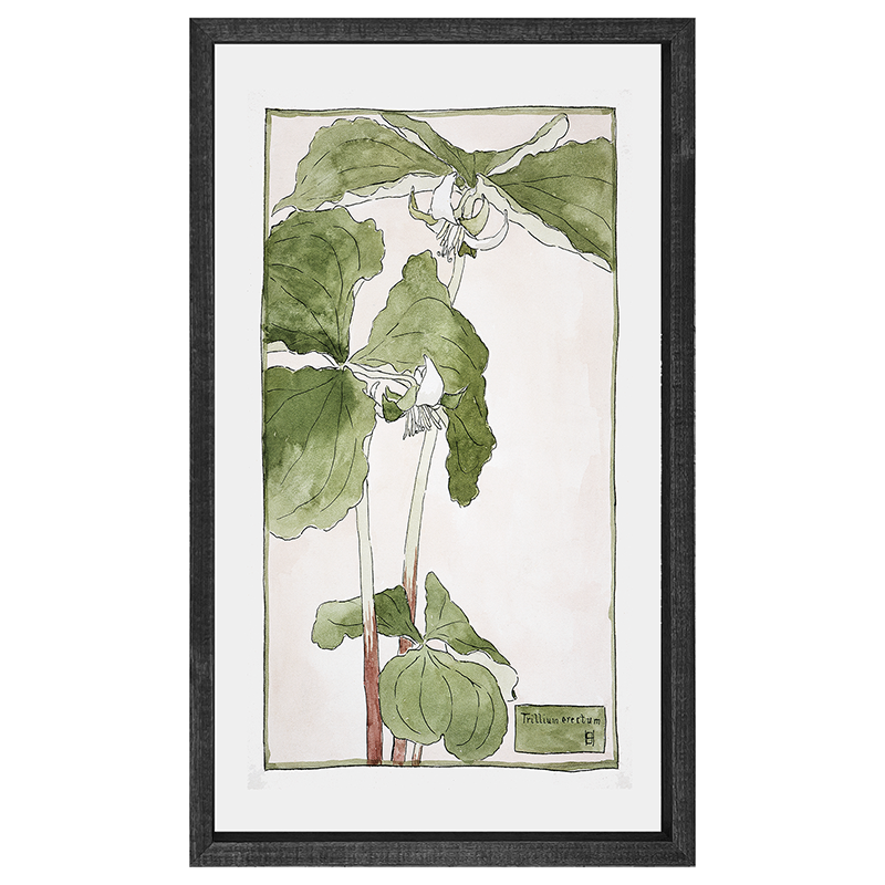 Watercolor greens