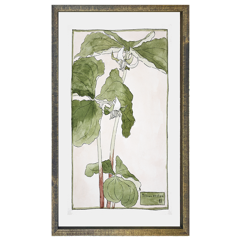 Watercolor greens