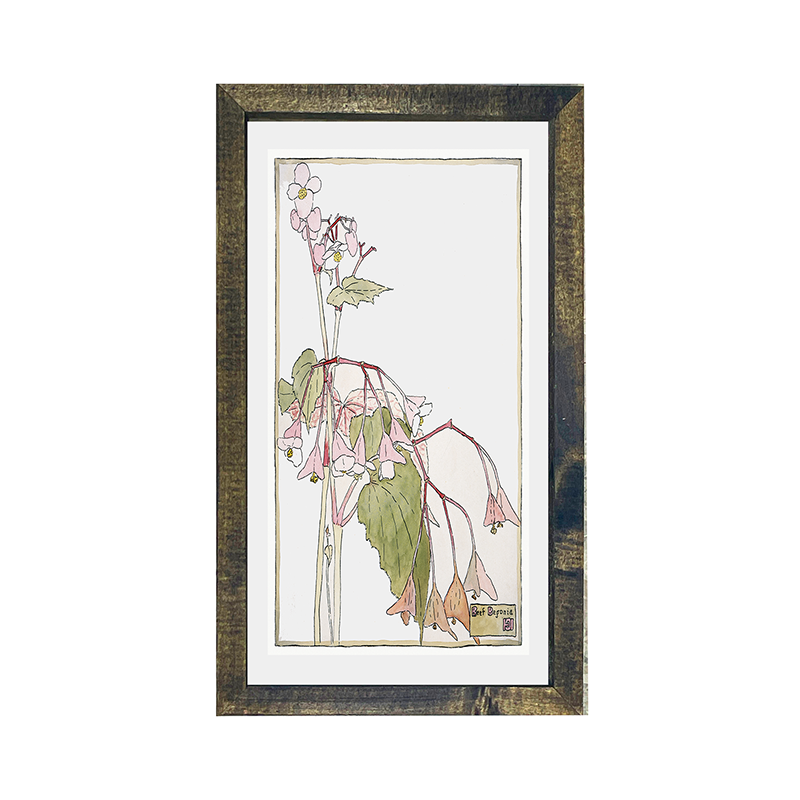 Watercolor pink flowers
