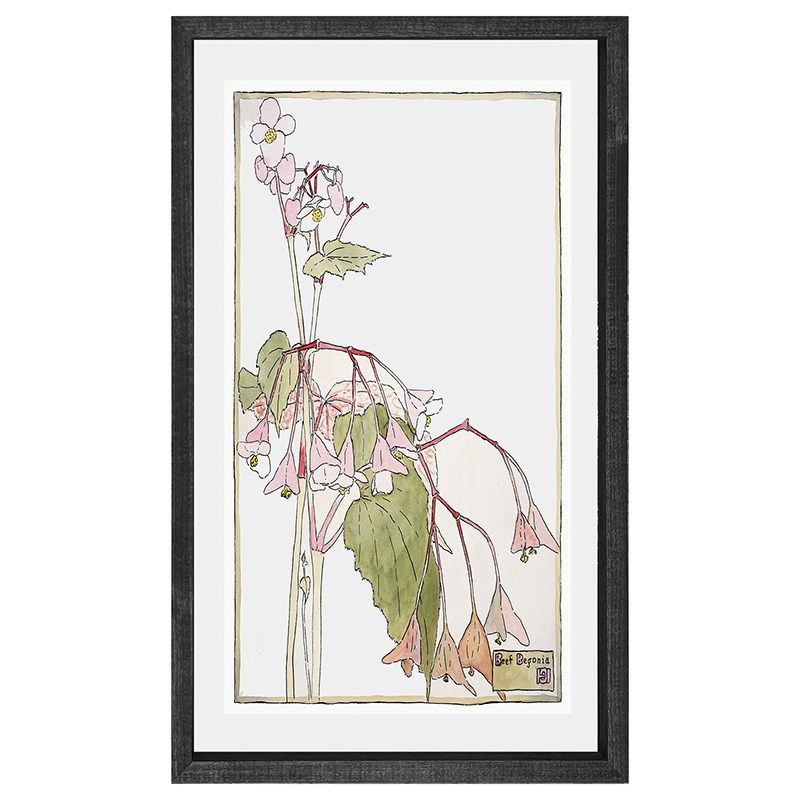 Watercolor pink flowers