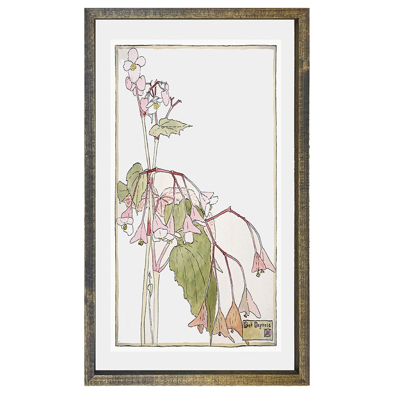Watercolor pink flowers