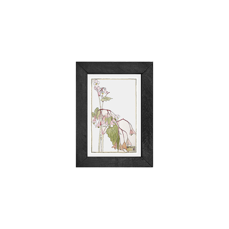 Watercolor pink flowers
