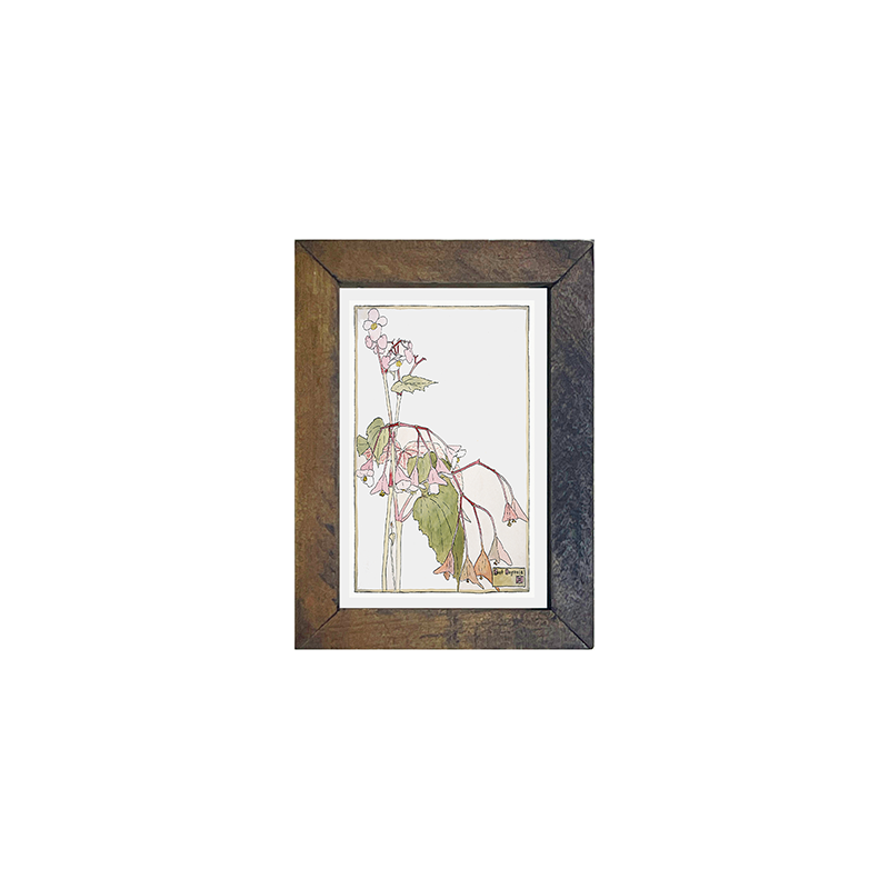 Watercolor pink flowers