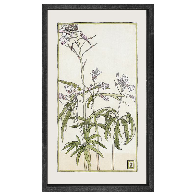 Watercolor purple flower