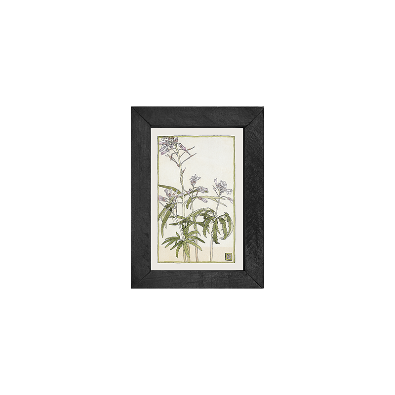 Watercolor purple flower
