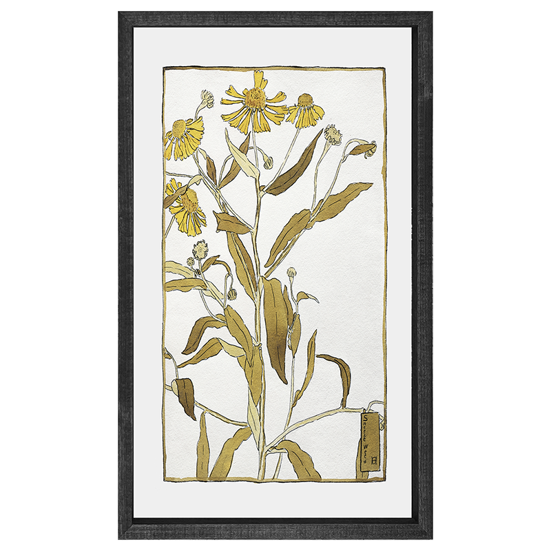 Watercolor yellow flowers