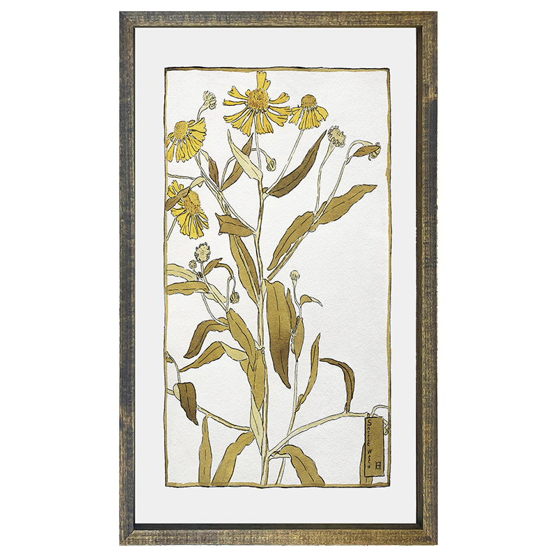 Watercolor yellow flowers
