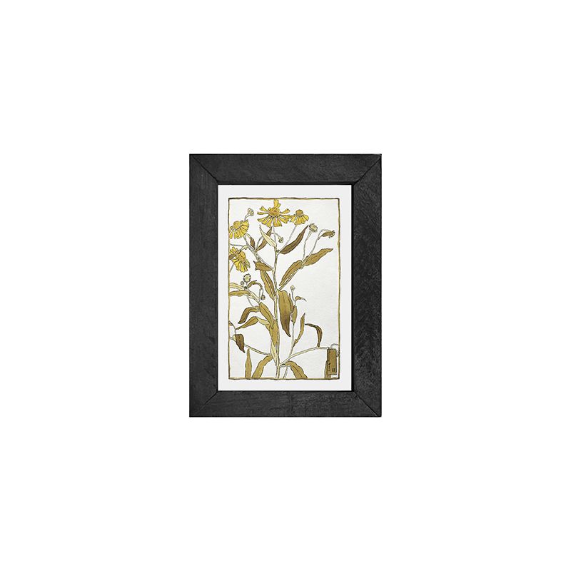 Watercolor yellow flowers