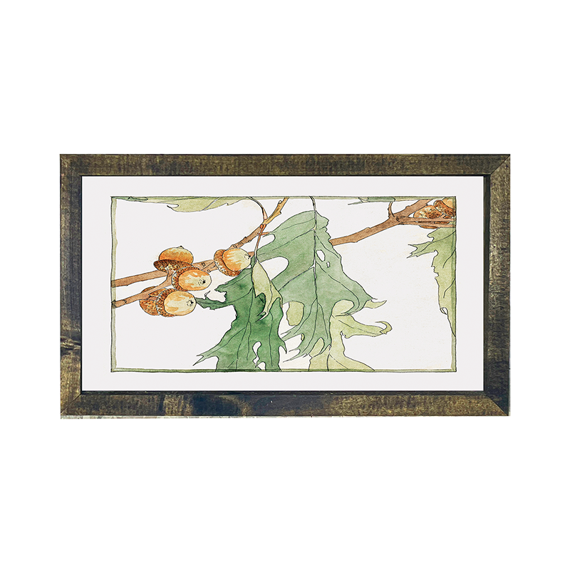 Watercolor oak tree