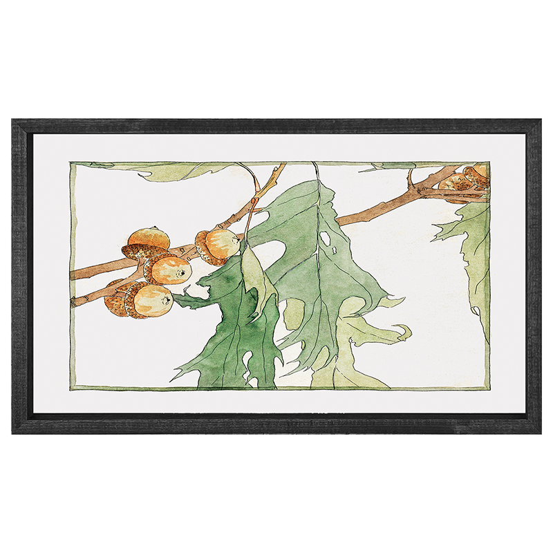 Watercolor oak tree