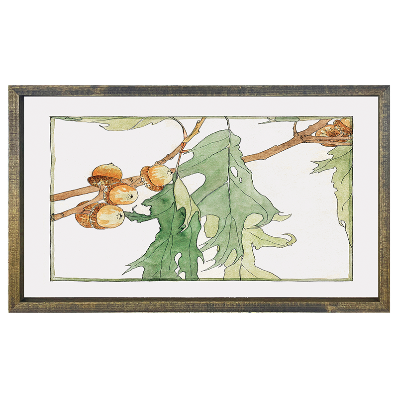 Watercolor oak tree