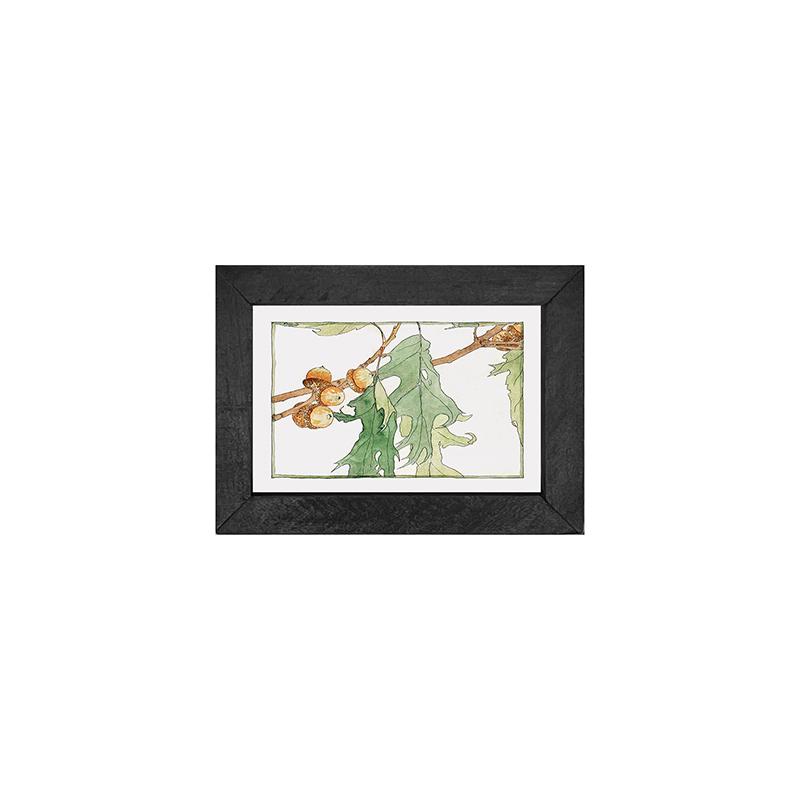 Watercolor oak tree