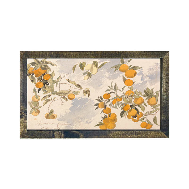 Vintage Oranges