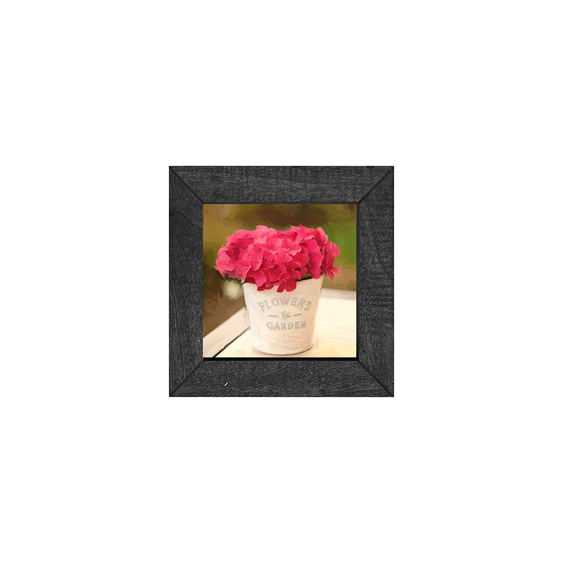 Hydrangea Potted