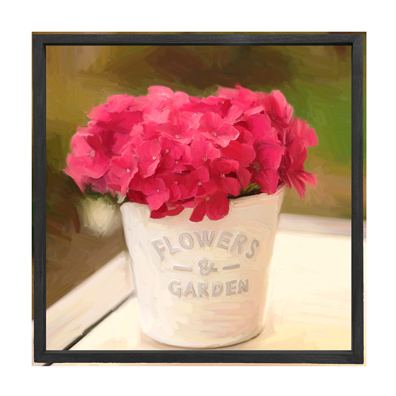 Hydrangea Potted