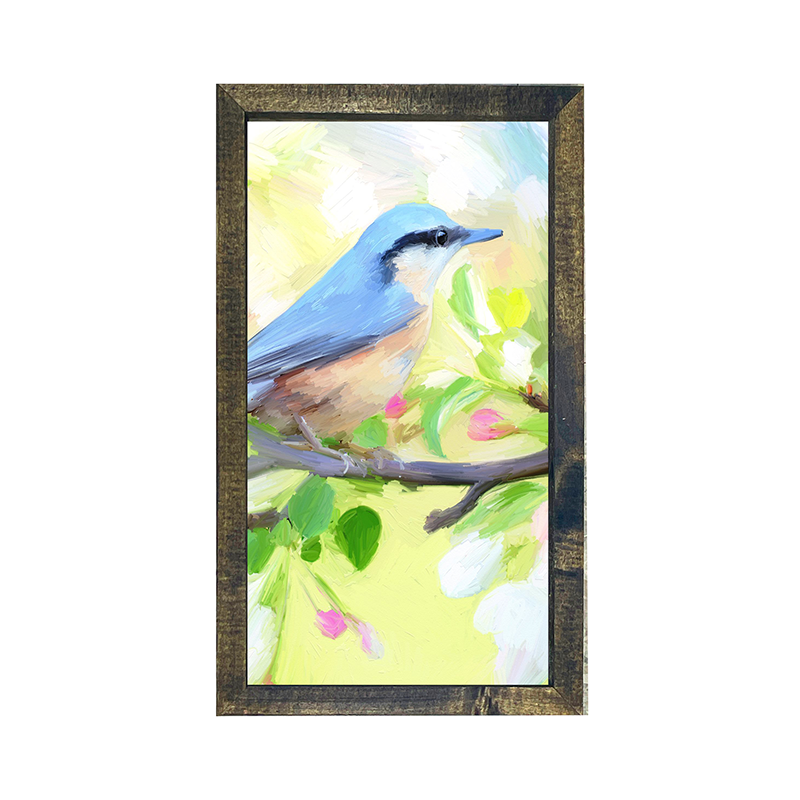 Nuthatch