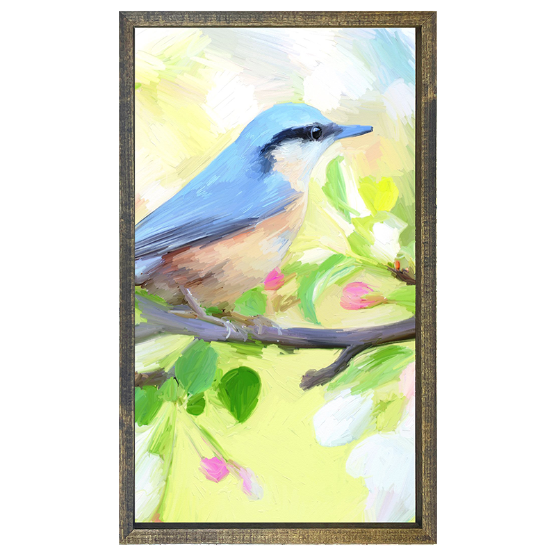 Nuthatch