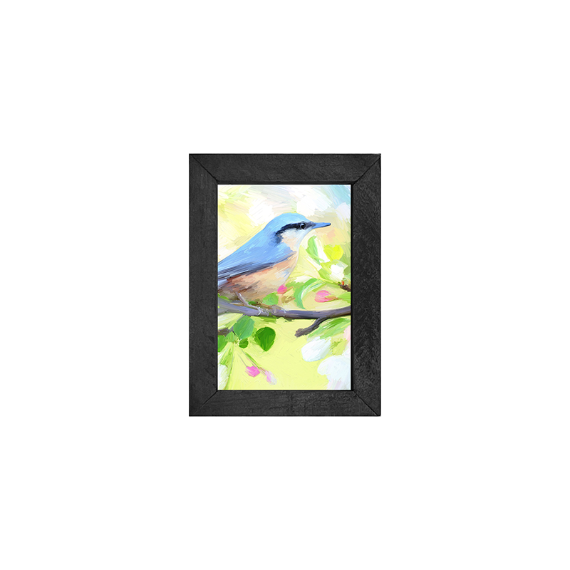 Nuthatch