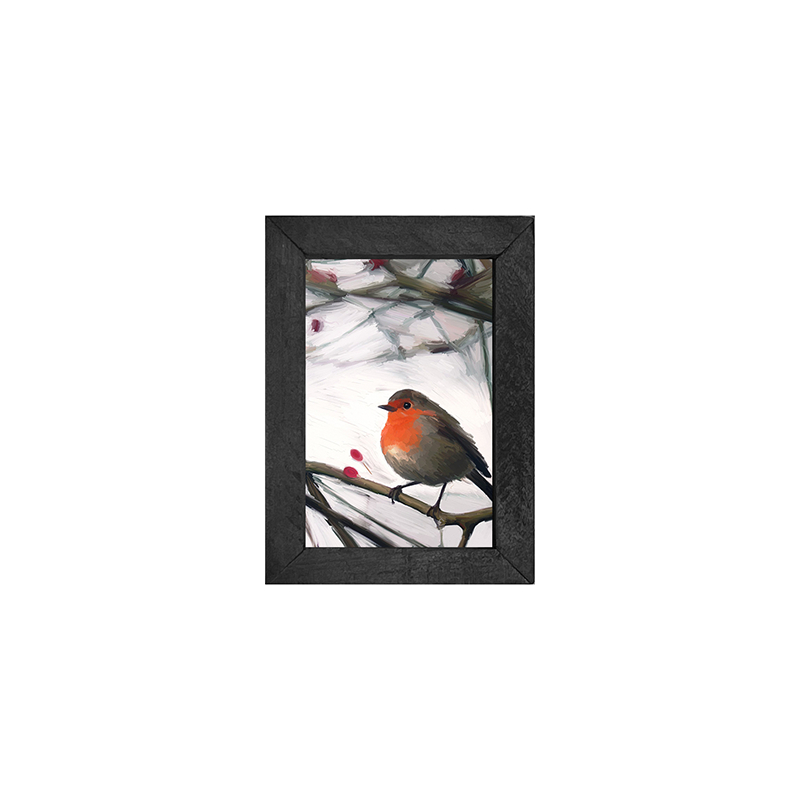 English Robin