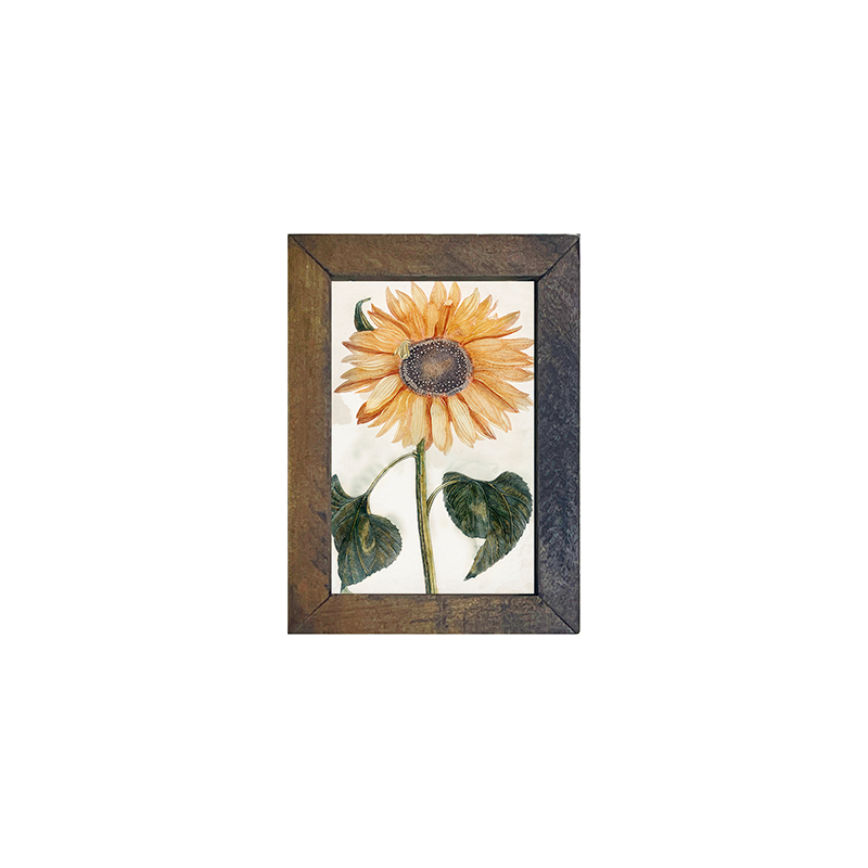 sunflower stem