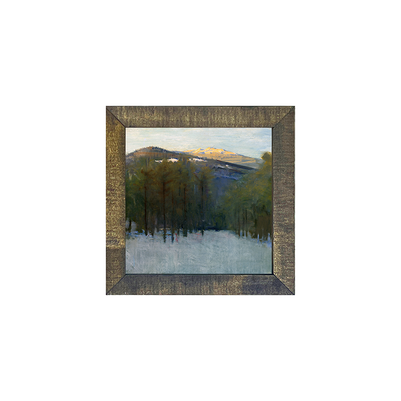 vintage-mountain view