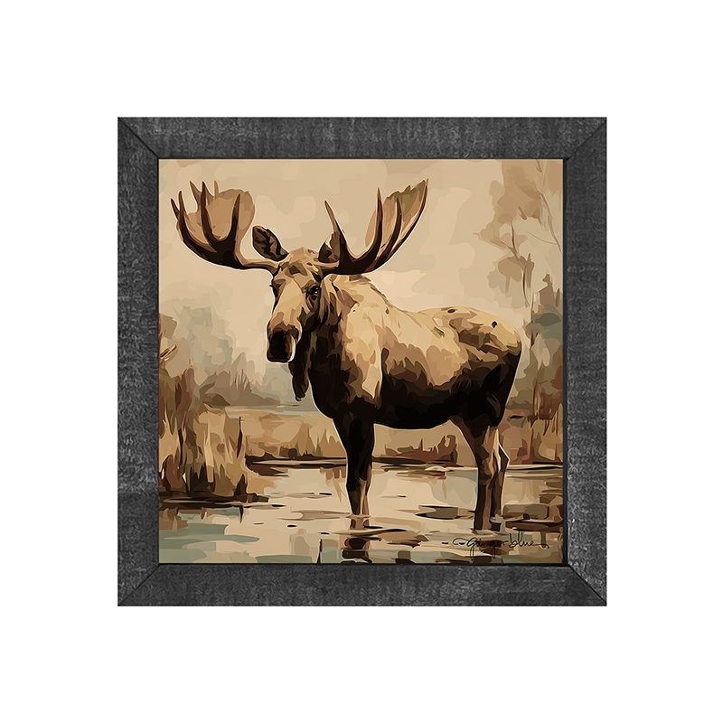 Adirondack Moose