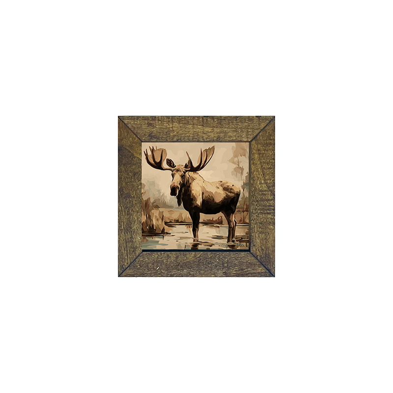 Adirondack Moose