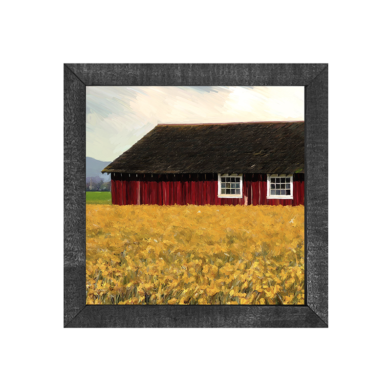 Barn with daffodils