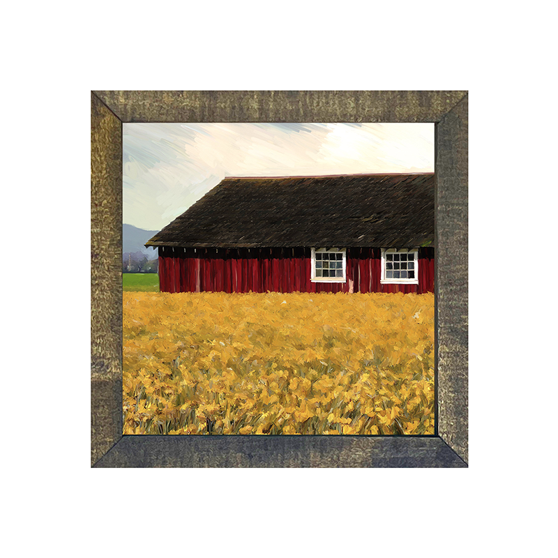 Barn with daffodils