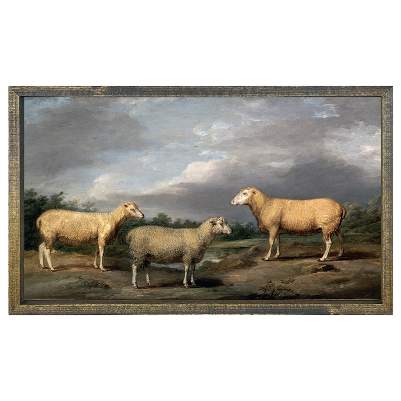 vintage sheep