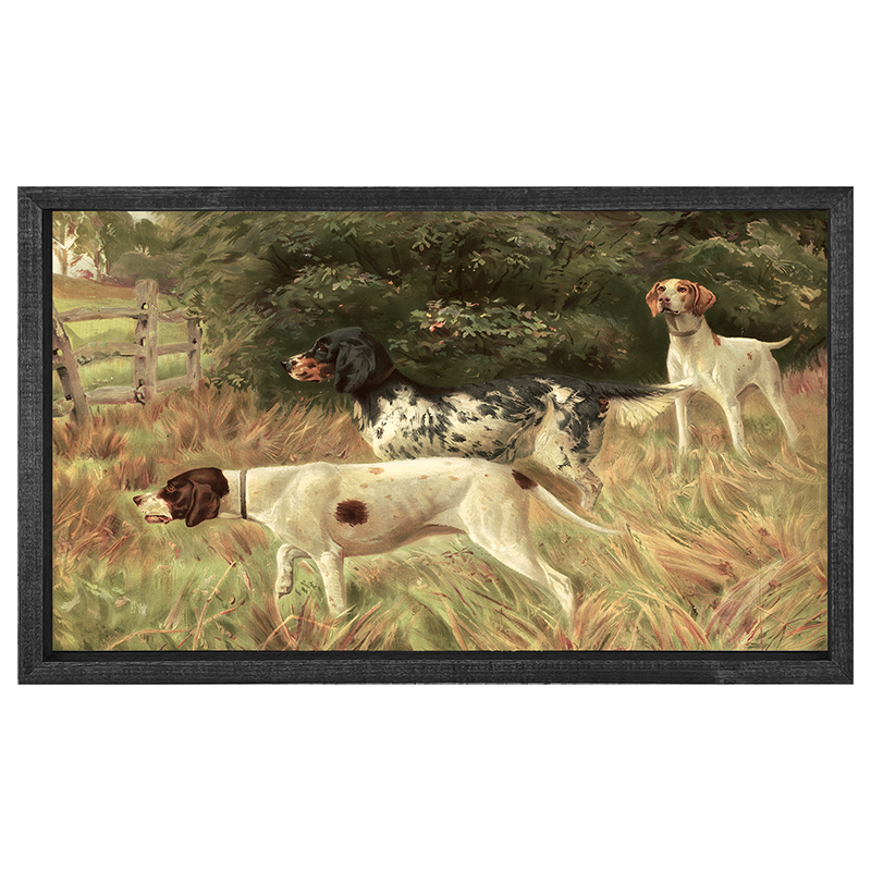 Hunting Dogs