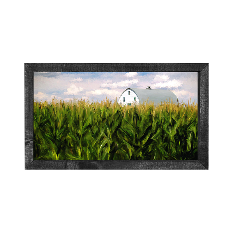 Corn field