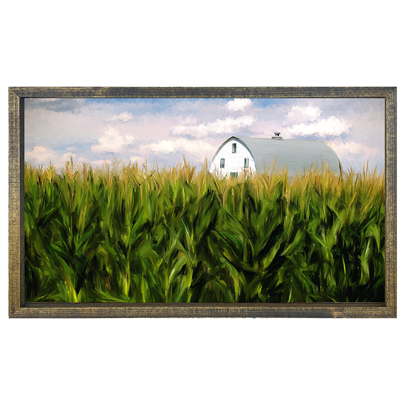 Corn field