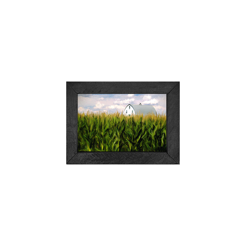 Corn field