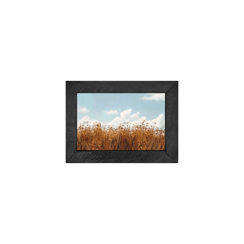 Autumn field