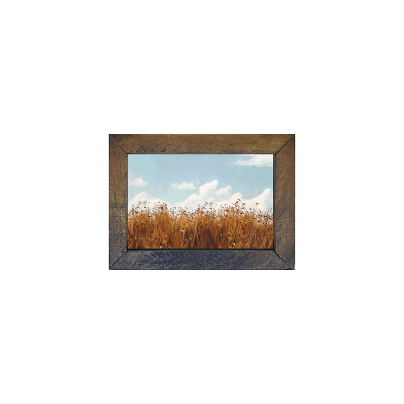 Autumn field