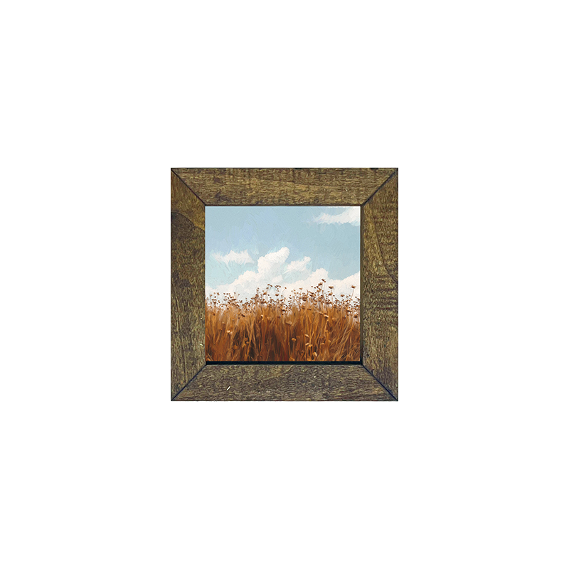 Autumn Field