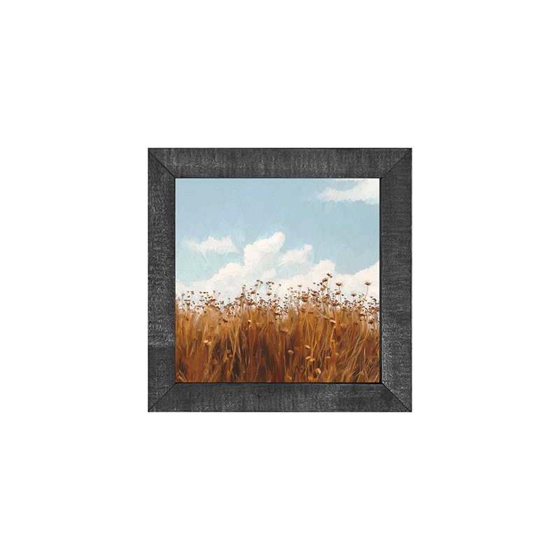 Autumn Field