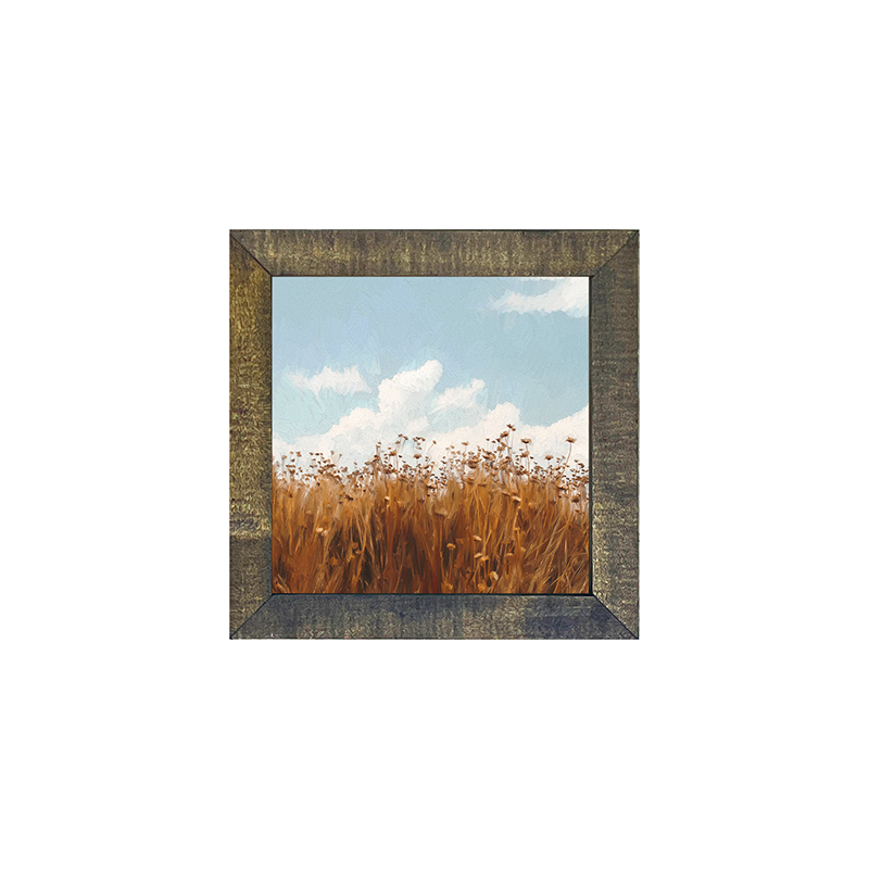 Autumn Field