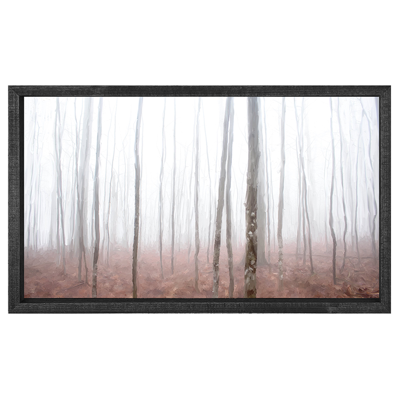 Birch Forest