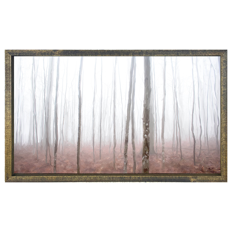 Birch Forest